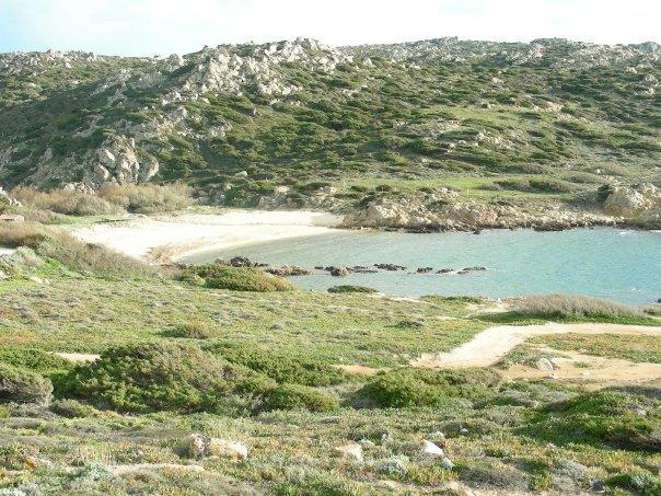 Villetta Cenni Санта Тереза Галура Екстериор снимка